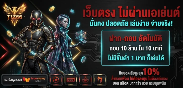 tiz66 ทางเข้า