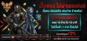 tiz66 ทางเข้า